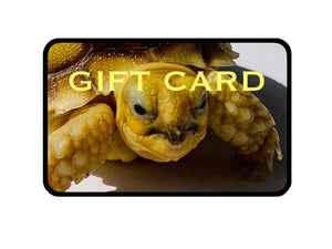 Sulcata hatchling gift card 